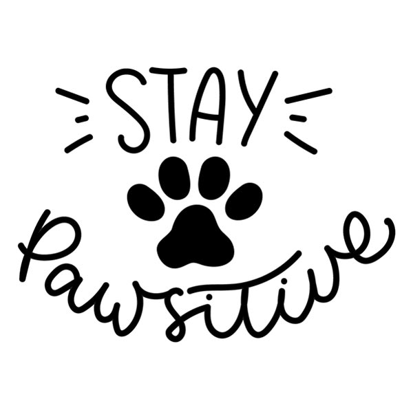 Stay pawsitive