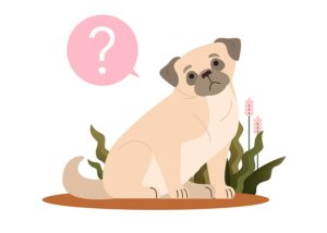 dog grooming business plan questions