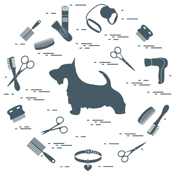how to start a dog grooming business
