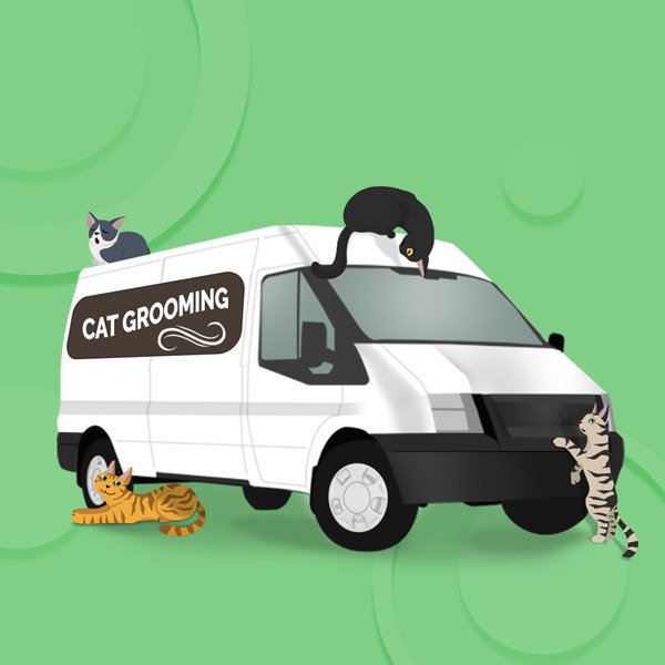 mobile cat grooming