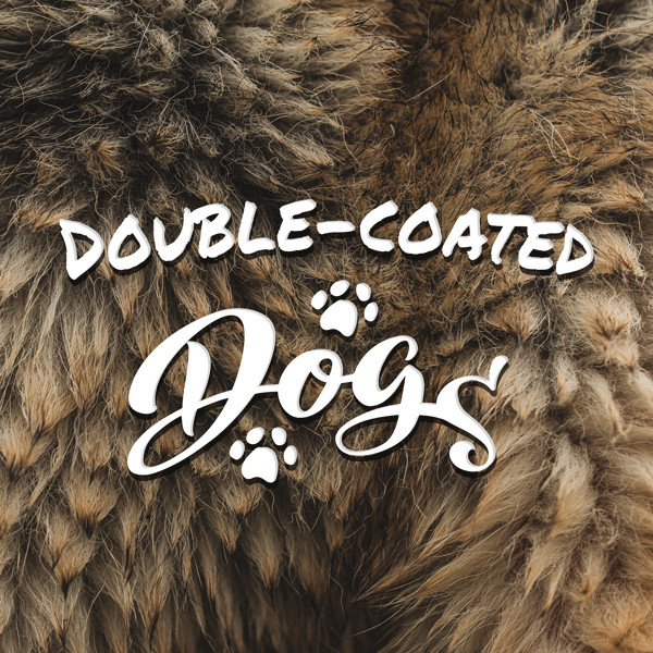 double coat dog breeds