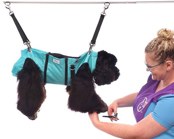 dog grooming harness